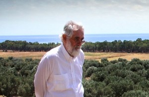 Mauro Staccioli