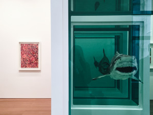 Damien Hirst "Visual Candy and Natural History" - Gagosian Hong Kong (foto Giulia Manfieri | ArtsLife)