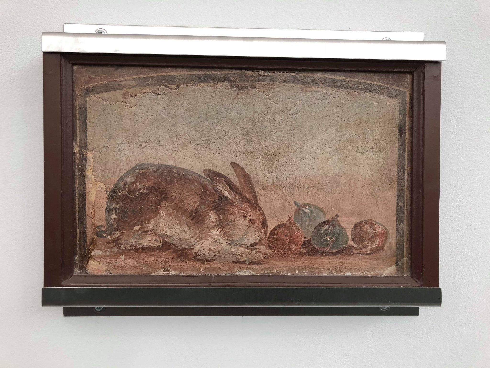 Ercolano e Pompei: visioni di una scoperta