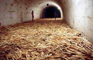 Tania Bruguera, Untitled