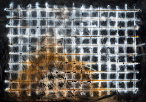 Valentina Palazzari_Senza titolo_2017_ruggine e colore acrilico su plastica_200x300cm_Foto Sebastiano Luciano_Courtesy MLZ Art Dep