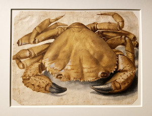 Mostra DÜRER E IL RINASCIMENTO tra Germania e Italia, a Milano