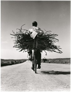 Fulvio Roiter, Sicilia, Sulla strada Gela – Niscemi, 1953
