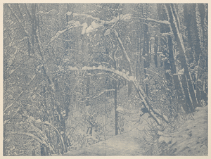 Franz Gertsch, Winter 2016, woodcut on Japanese paper, cm 228,7 x 289 x 10 framed