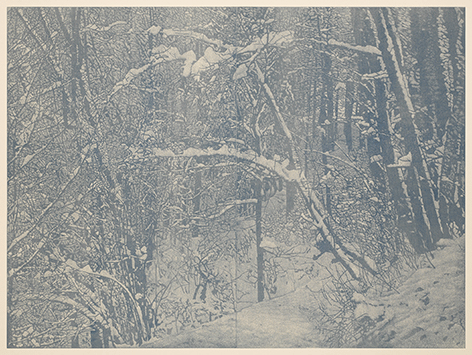 Franz Gertsch, Winter 2016, woodcut on Japanese paper, cm 228,7 x 289 x 10 framed