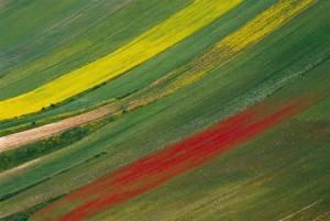 Franco Fontana, Parco dei Sibillini, 1999