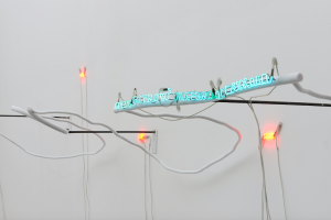 Pier Paolo Calzolari, White Cube Gallery, Londra