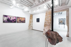 E-merging Nature, installation view, Marignana Arte, Venezia
