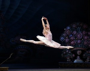 Le Corsaire Nicoletta Manni