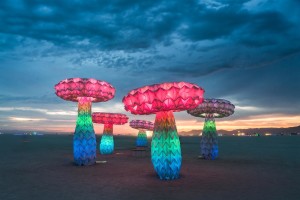FoldHaus, Shrumen Lumen, 2016. Photo by Rene Smith.