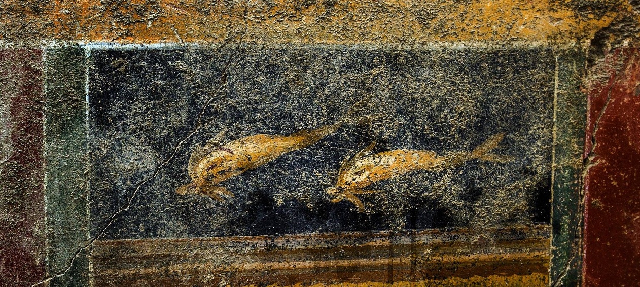 La Domus dei Delfini: l’ultima meraviglia emerge dai nuovi scavi di Pompei. Le immagini degli affreschi