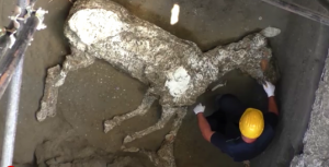 La sagoma di un cavallo riemersa a Pompei