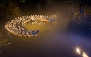 La pelle della luna. Ph. Luigi Fieni (Ortolario 2017)
