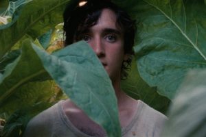 Lazzaro felice Lazzaro felice