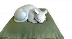Il gatto di Monet © Martin Bailey