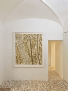 Nature Knows No Pause Installation views Massimo De Carlo, Milan-Belgioioso, 2018 Photo by Roberto Marossi Courtesy Massimo De Carlo, Milan/London/Hong Kong