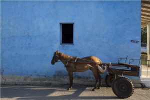 Paolo Simonazzi, Mantua, Cuba, 2015