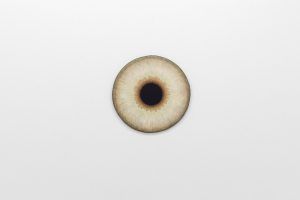 Belenius CHART ART FAIR 2018
