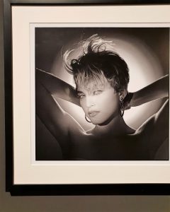 Warhol & Friends a Palazzo Albergati di Bologna