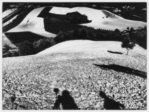 Mario Giacomelli, da Presa di coscienza sulla natura, 1977-2000 - Campagna marchigiana