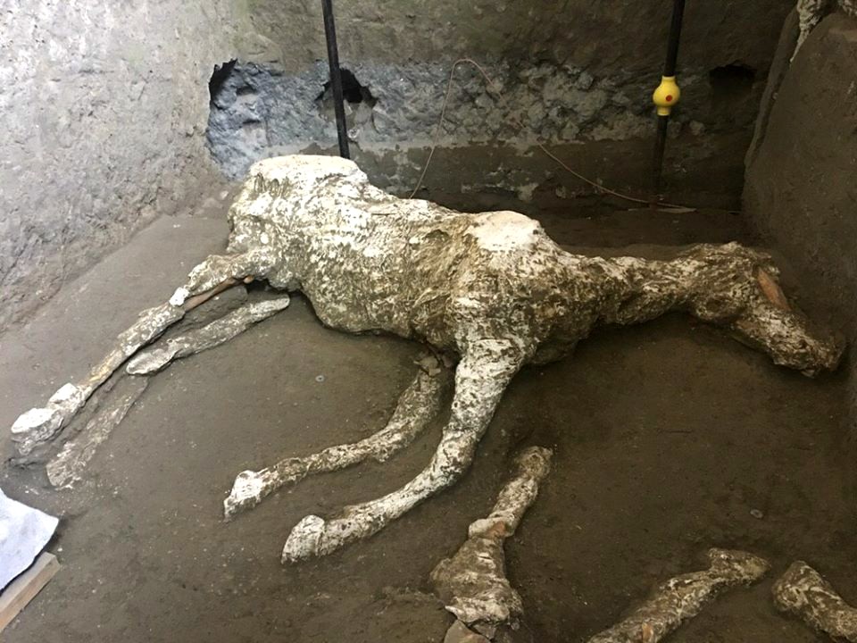Il cavallo ritrovato a Pompei