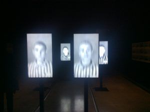 Pannelli interattivi della mostra Testimoni dei Testimoni
