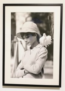 Terry O'Neill. Audrey Hepburn