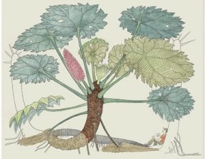 Atlante di botanica poetica