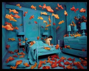 Sandy Skoglund, Revenge of the Goldfish