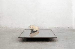 Fabrizio Prevedello; Reagents