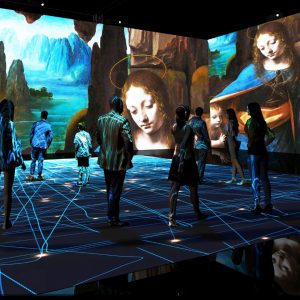 Leonardo 3d Experience