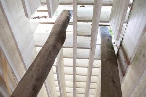 Weather reaport. Forecasting future