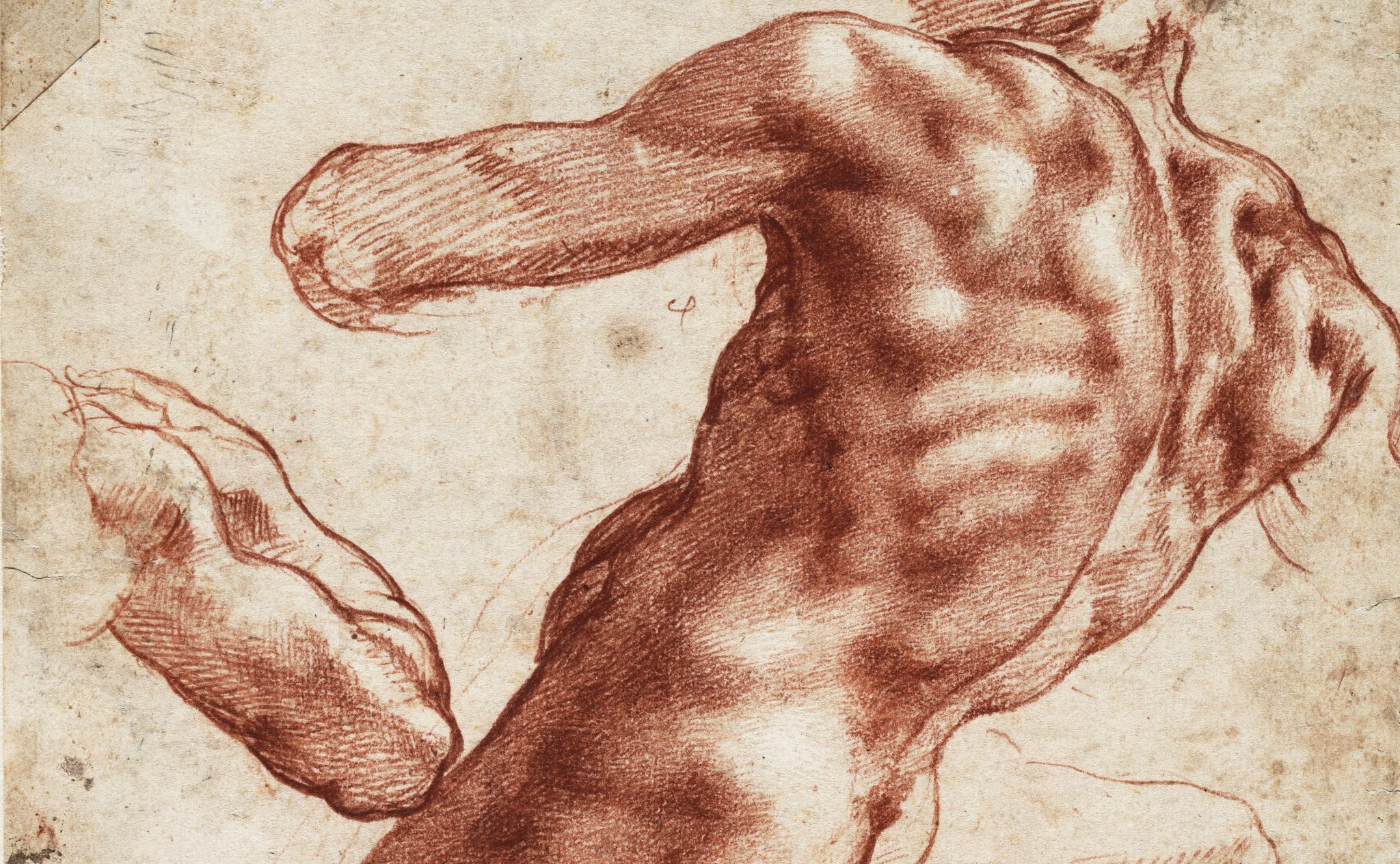 Michelangelo alla conquista degli States. Straordinaria mostra di disegni al Cleveland Museum of Art