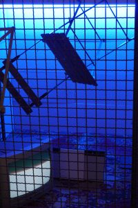 Installazione site specific, Vittorio Messina