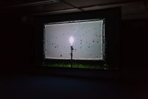 Installazione, Henrik Håkansson, Blinded by the Light