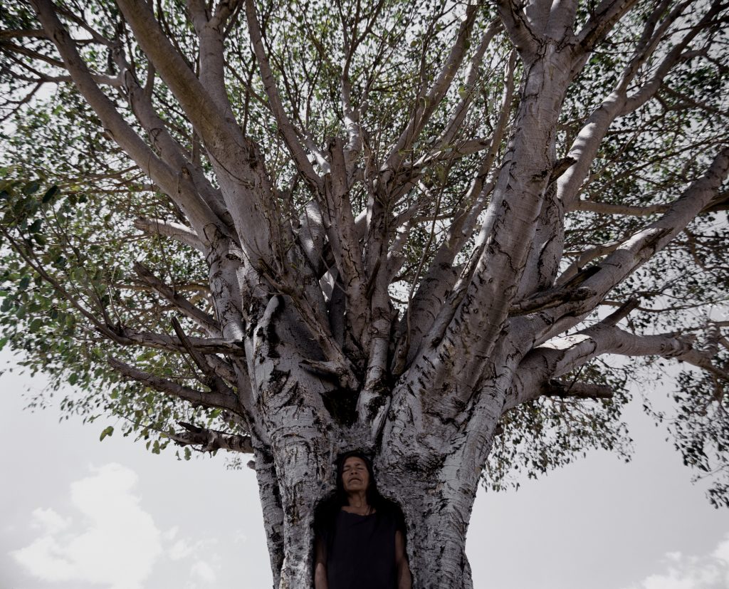 Tooba Woman in tree, Shirin Neshat