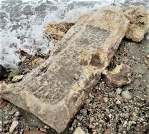 Sarcofago. Fonte_il Messaggero