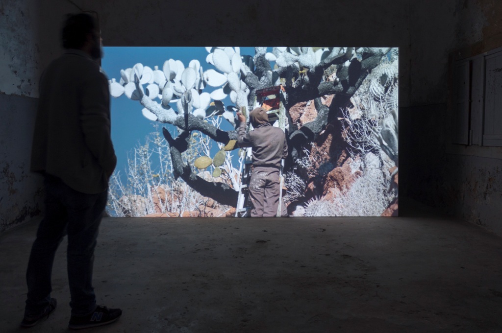Utopia e attualità: la terza edizione della Biennale di Coimbra