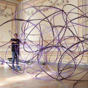 Roseobacter, Michelangelo Penso, 2019