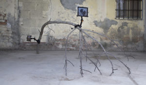 Edoardo Manzoni, Settembre 2016. Ramo, staffa, tablet, immagine digitale. Courtesy l’artista