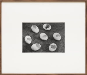 Alessandra Spranzi, Gusci di uova mangiate da una faina (L’insieme è nero), 2016, stampa ai sali d’argento/gelatin silver print, cm.18x25 (incorniciata/framed cm.44x52), ed.3+2pda. ph.C.Favero - Courtesy P420