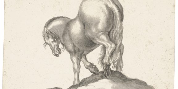 Cavallo visto da dietro, Giovanni Battista Foggini