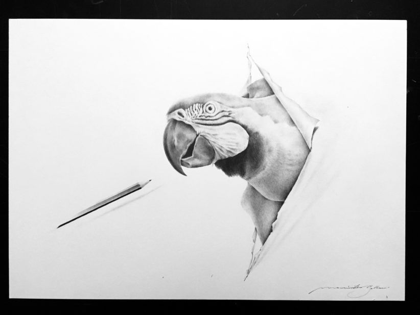 Mechiel Artworks - Freelance Artist - Disegno con matita bianca su foglio  nero