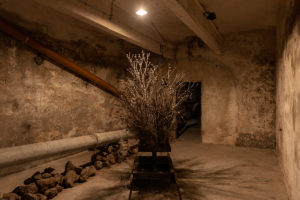 Buona Fortuna, 2020 © courtesy of Fondazione Pastificio Cerere