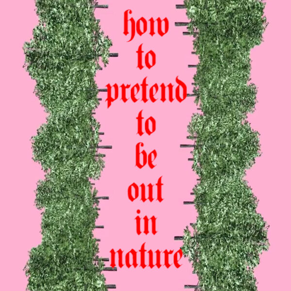 Corinne Mazzoli, How To Pretend to Be Out in Nature, Still da video, 27”, marzo 2020 Musica: “Esotica Esoterica”, Mauro Sommavilla Riprese di Luca Pili Da: #ARTISTSINQUARANTINE @artistsinquarantine https://www.instagram.com/p/B9ys_r9o-Tm/