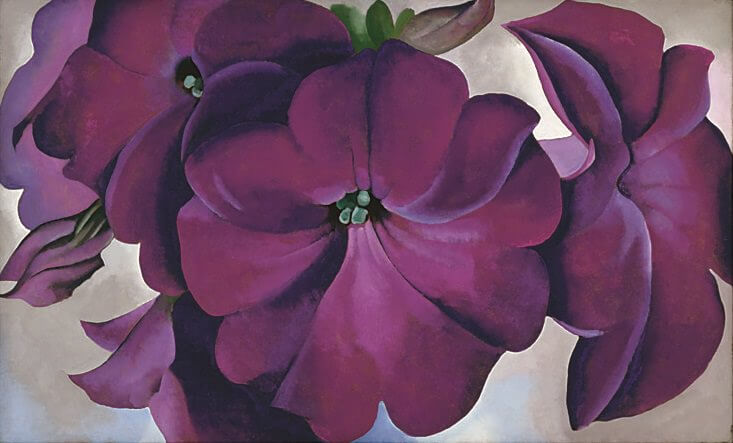 Georgia O' Keeffe, Petunias, 1924