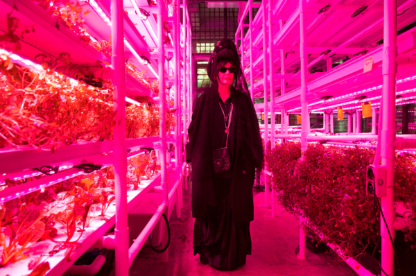 Diane Pernet