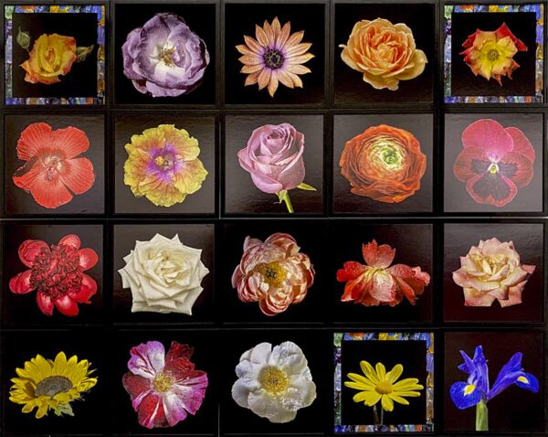 Romana Zambon - Naturalmente Plastica, quadreria fiori di plastica, cm. 200x160