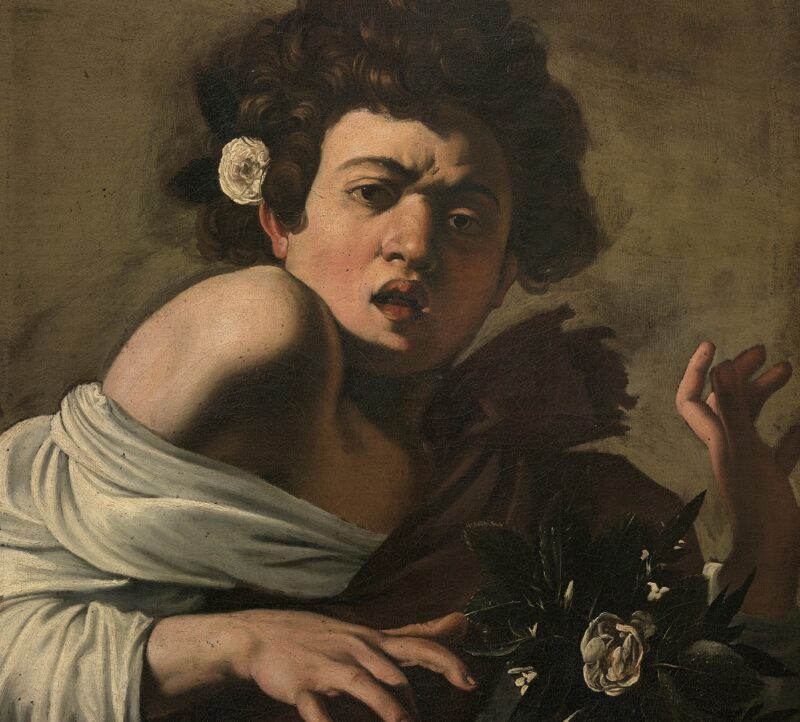 Michelangelo Merisi detto il Caravaggio Ragazzo morso da un ramarro 1597 circa Olio su tela, 65,8 x 52,3 cm Firenze, Fondazione di Studi di Storia dell'Arte Roberto Longhi