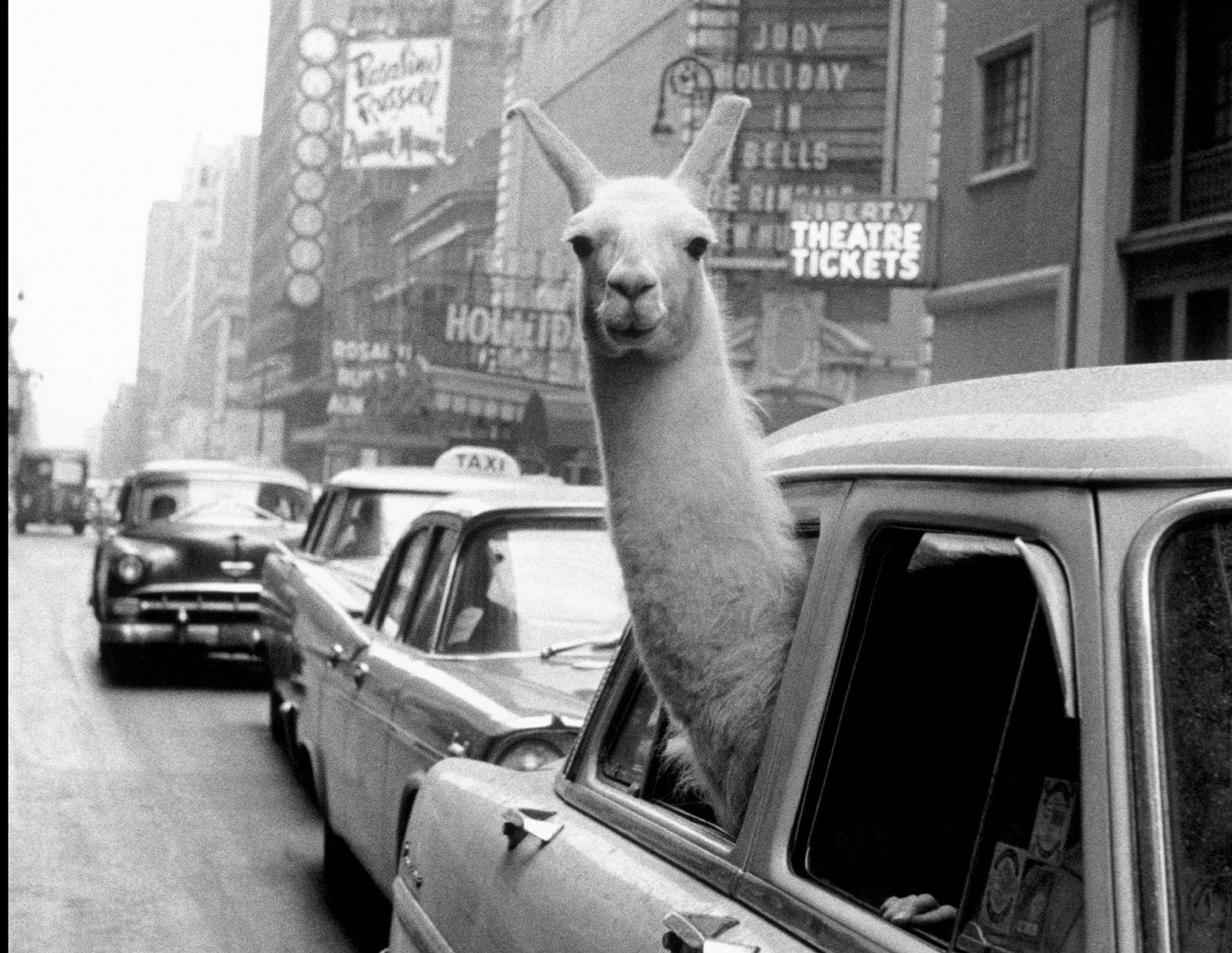 Inge Morath al Diocesano di Milano. La grandezza artistica della prima donna a entrare nell’agenzia Magnum Photos